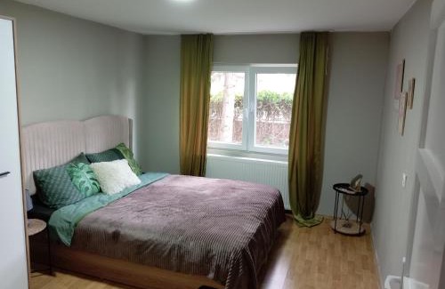 Zajecar Apartment | Zen apartman