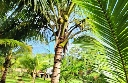 Little Corn Island Cabin | Zen Cabaña in a Tropical Paradise, Little Corn island, Nicaragua