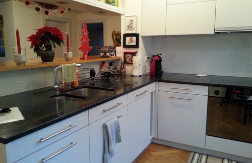 Hottingen Apartment | ZH Freiestr.: 3 lg. BR, 3 full BA, washer/dryer, elegant, bright Apt. for 6 - 7