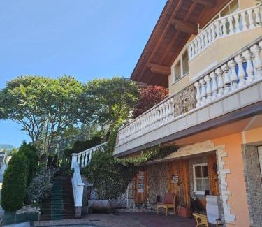 Holdernach Apartment | Zilleralps Fewo