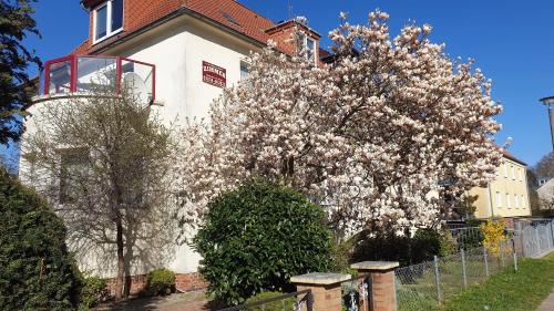 Nordliche Muhlenvorstadt Apartment | Zimmervermietung Koltermann