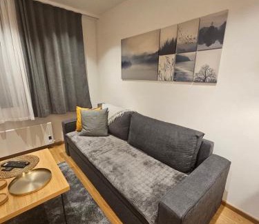 Jahorina Apartment | Zlatni Javor, Apartment 408