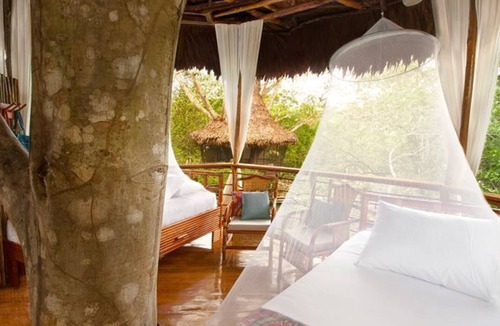 Saquena Cabin | Treehouse Lodge