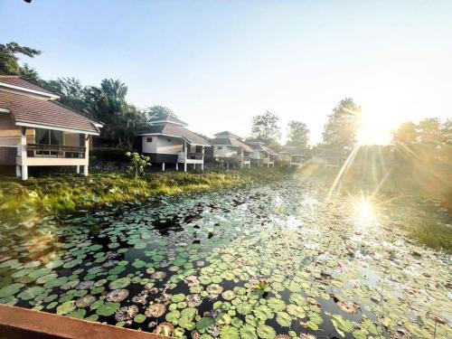 บ้านสวนกรีนวิวรีสอร์ท