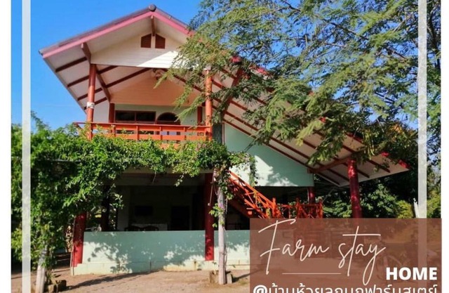 บ้านห้วยลูกนกฟาร์มสเตย์ Banhuailuknok Farmstay