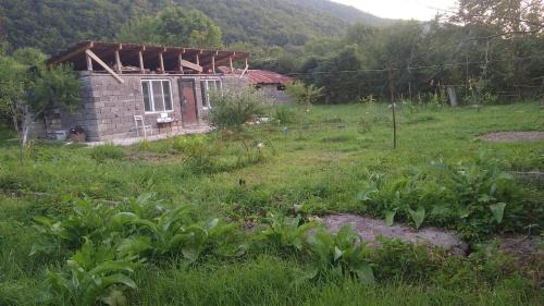 ონის რაიონი სოფელი ზუდალი