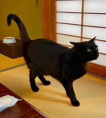 民宿とランチ大ちゃんち