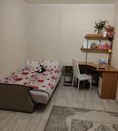 1комнатная квартира