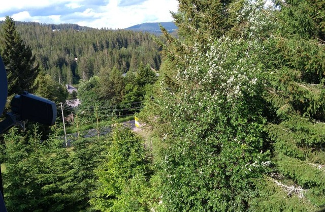 1 Spatzennest vacation apartment, 41sqm, 1 living/bedroom, max. 2 persons