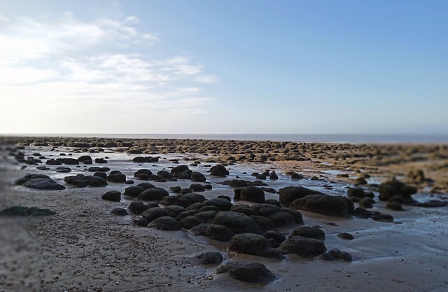 3 Bedroom 6 Berth Pets go Free van With Decking