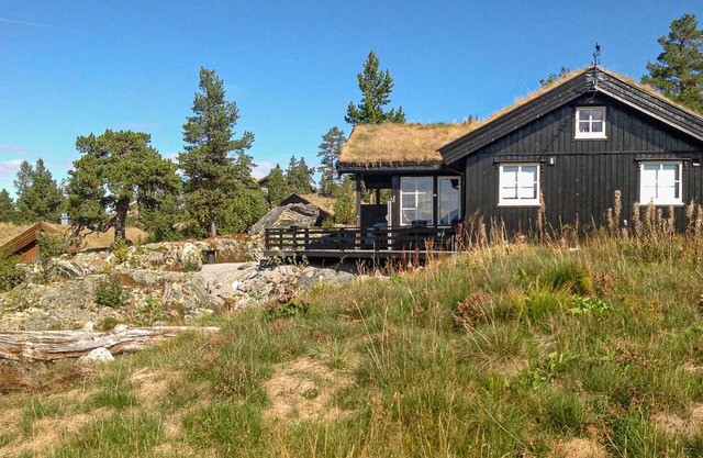 3 bedroom stunning home in Rauland