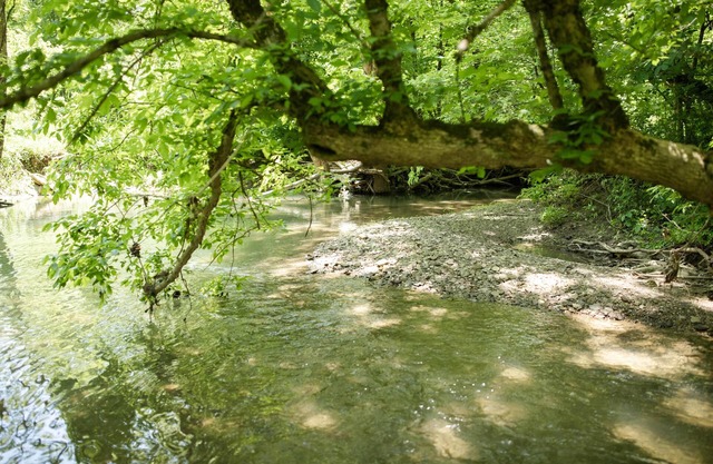 9511 Compressor Rd, Chesterhill, OH - Peaceful oasis with 3 bedrooms with free wifi