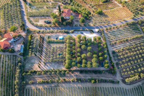 AGRiCAMPiNG POGGiO Ai PiNi WiNE CAMPiNG