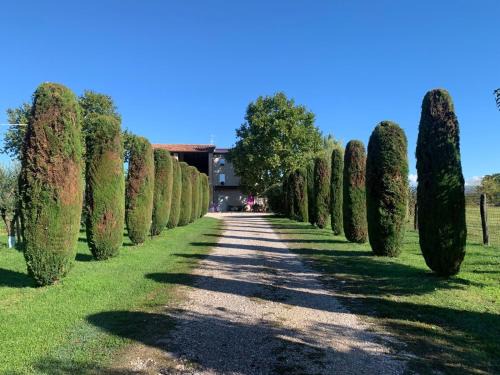 Agriturismo Corte Bonetti - Appartamento i Cipressi