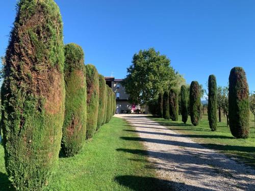 Agriturismo Corte Bonetti - Appartamento Il Salice