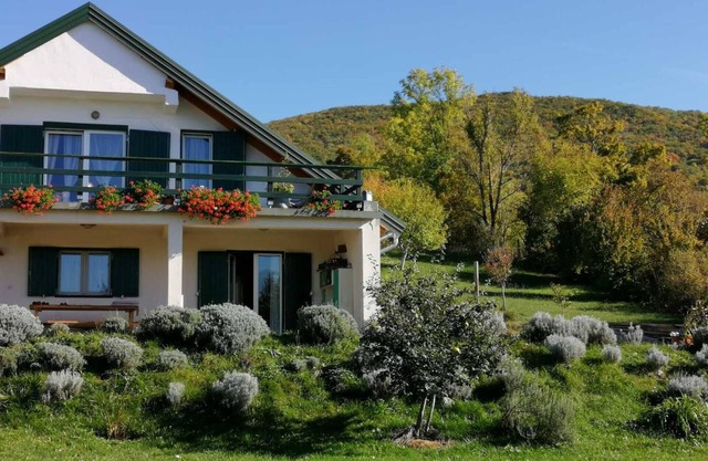 Ajda lavander apartment in Mutilić, Croatia - 2 Bedroom Apartment