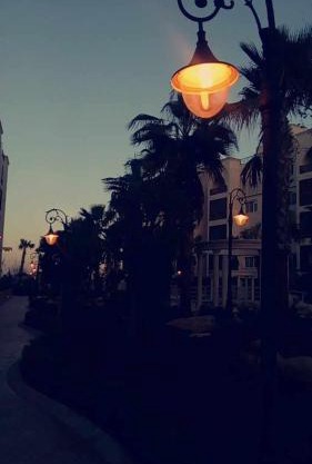 Al qaoud apartment