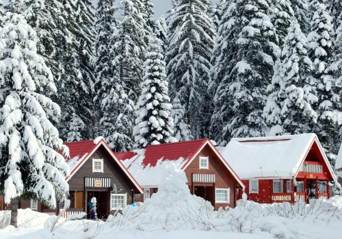 Alpine ski chalet Borovets with sauna