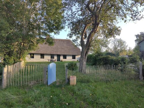 Alte Schmiede