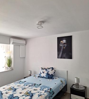 Apartament IRIS Băile Herculane