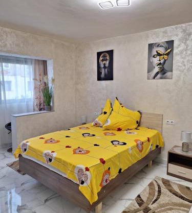 Apartament TIMEEA Baile Herculane