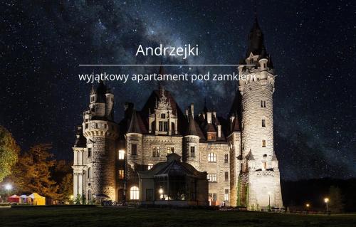 Apartamenty Moszna - blisko Zamku, Jacuzzi, widok na las
