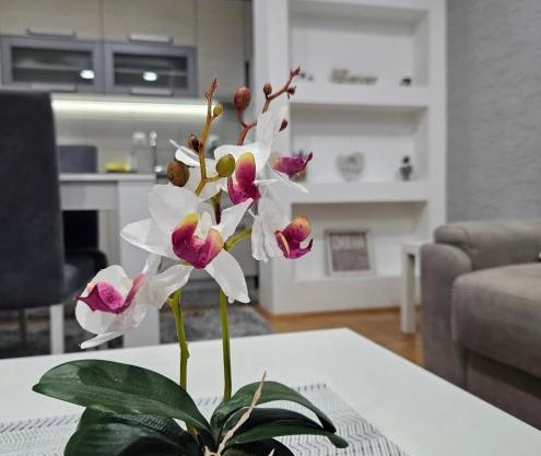 Apartman Vukota Pirot