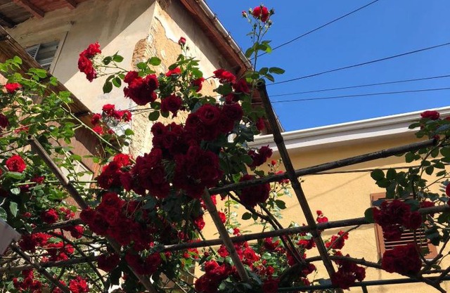 Apartmani Banina