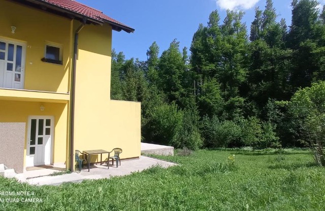 Apartment Mirela