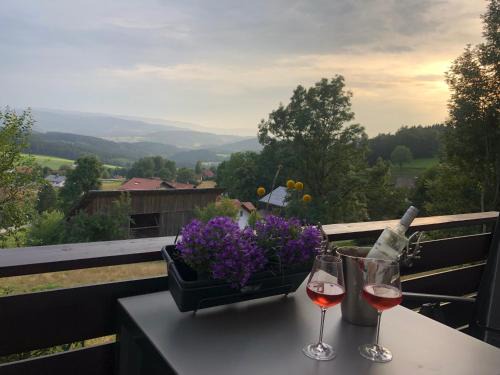 Apartment Tälerblick Maxi, neu modernisiert