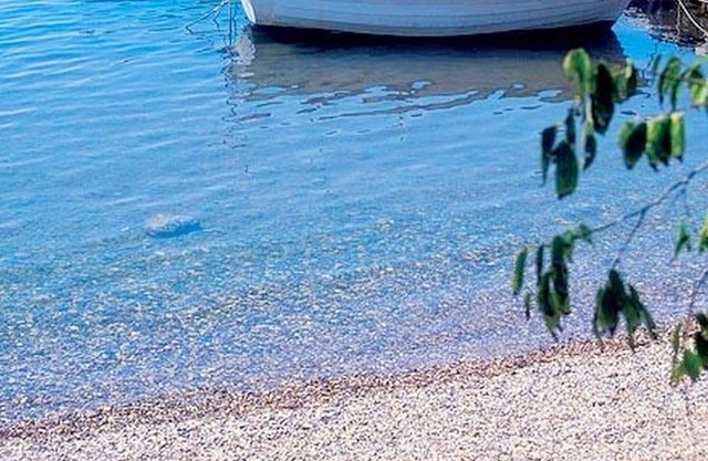 Apartments Ante, (15076), Seline, hr