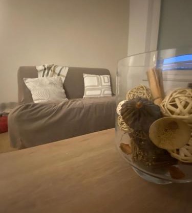 Appartement chaleureux au cœur de la Bresse