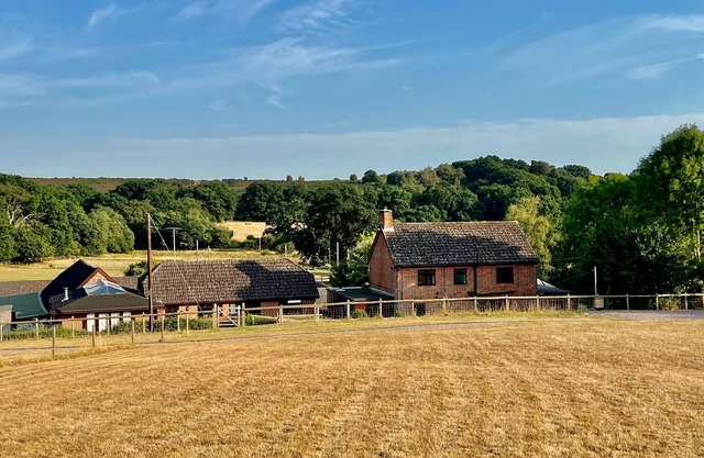 Arniss New Forest - Eight Bedroom House, Sleeps 20