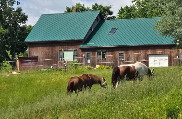 Backyard Bliss Near Bangor Concerts, Hiking, Trails. Pasture for Horses!