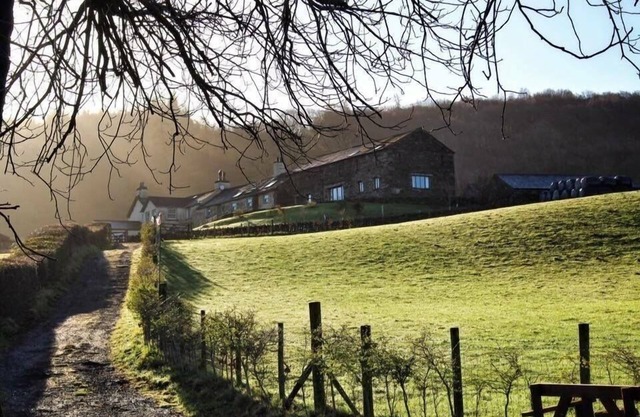 Bank Ground Farm