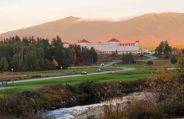 "Bear Crossing" Whole 🏠! 10% off 7 nts or more, 15% off 28 nts or more