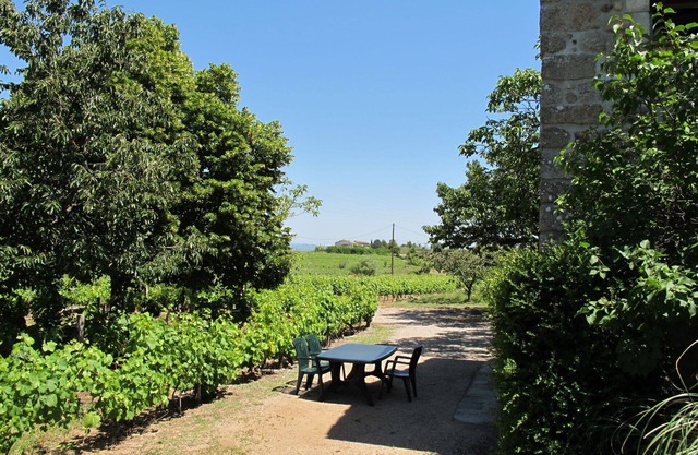 Beautiful private villa for 4 people with TV, terrace and pets allowed