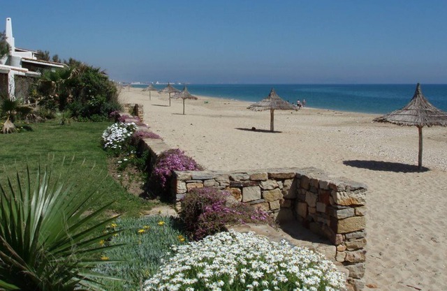 Beautiful Kabila apartment