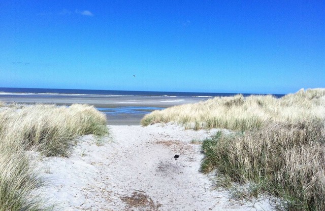 bungalow, situated directly at a large sand dunes