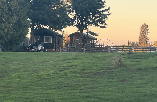 Cabin with a View, pet friendly pets only