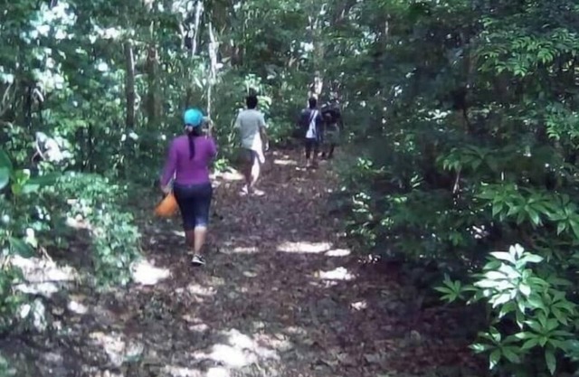 Camping Barbados #2 Bring Your Own Tent