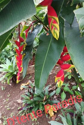 CAMPING le fruit de la passion