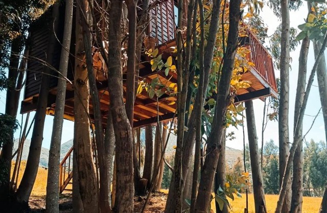 Casa en el Árbol Guatavita