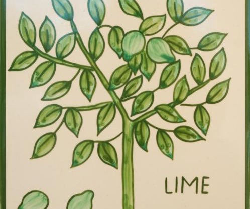 Casa Monte Cristo Apartments - Lime