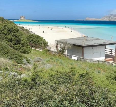 Casa vacanze Stintino vista mare
