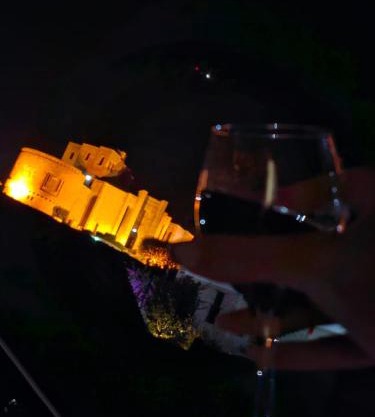 Castle - inside,Voga Guesthause