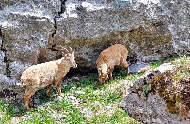 Chalet Familial Dans un Village Authentique