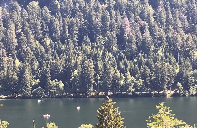 Chalet Lamartine with beautiful view near Gerardmer, sleeps 2 to 6, comfort wifi