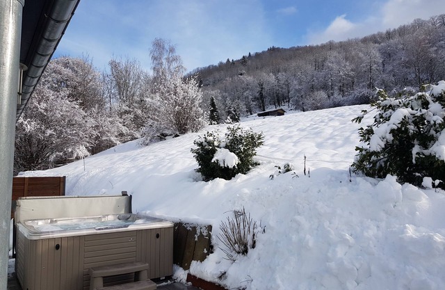 Chalet swimming pool spa sauna ski resort Hohneck-La Bresse-Gerardmer-Lispach