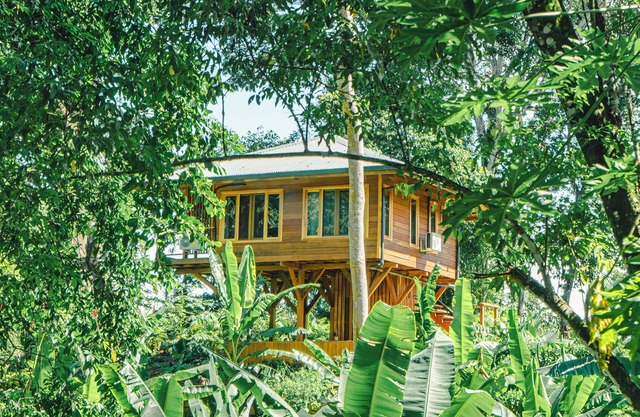 Charming bungalow in tranquil Bocas del Toro. Perfect spot for surf and relax.